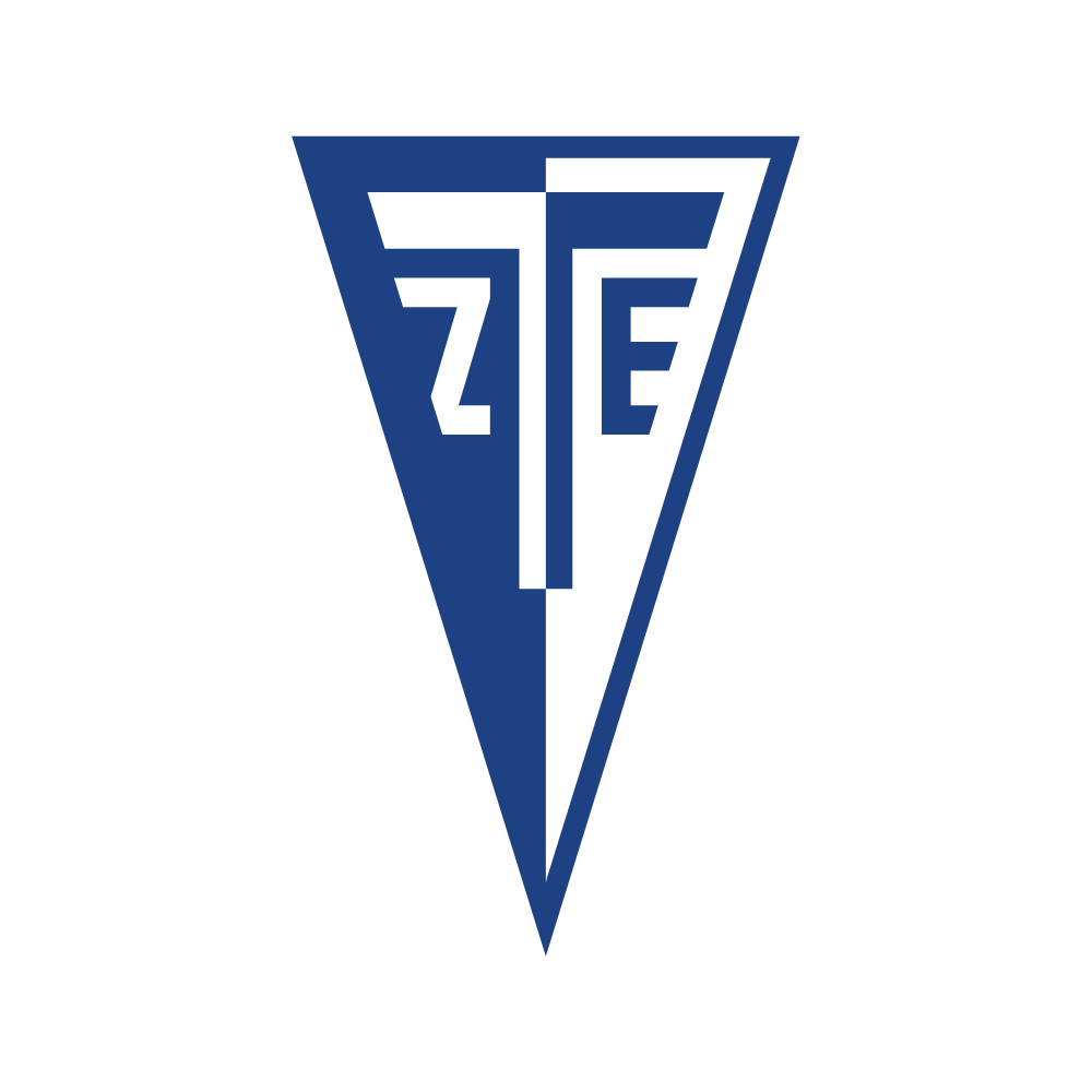 Zalaegerszegi TE